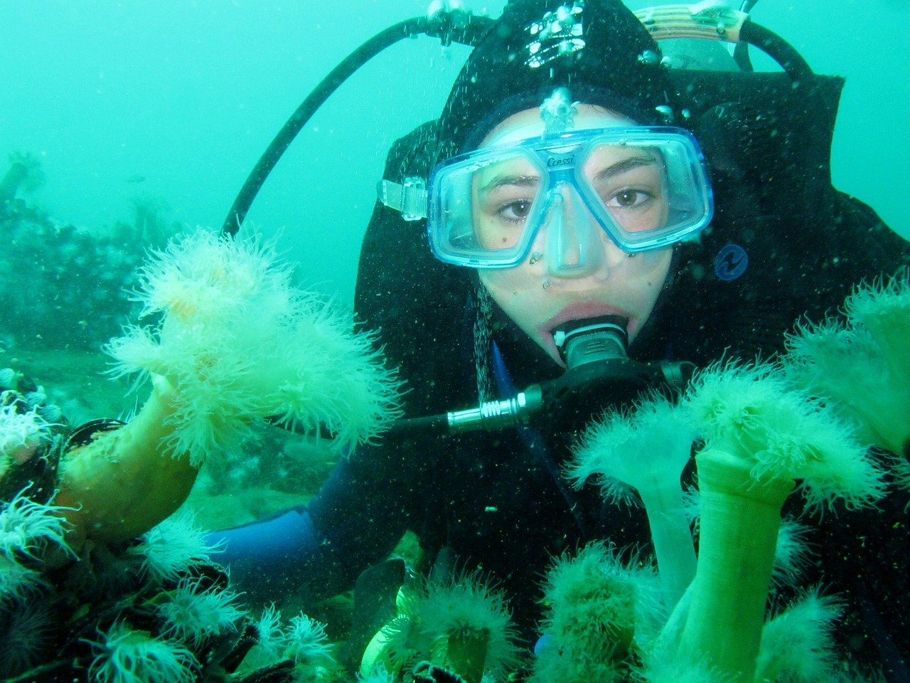 diving, scuba diving, bottom of the sea-975510.jpg