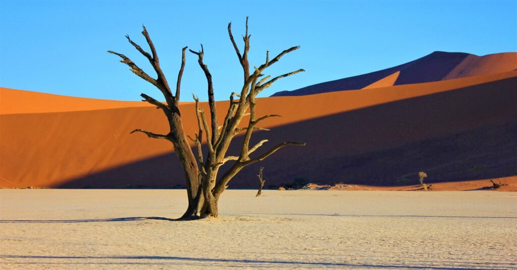 Sossusvlei Desert Lodge