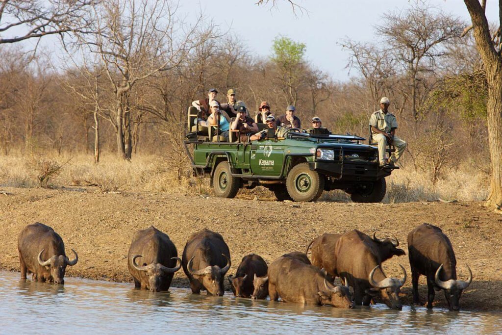 Kapama River lodge game drive