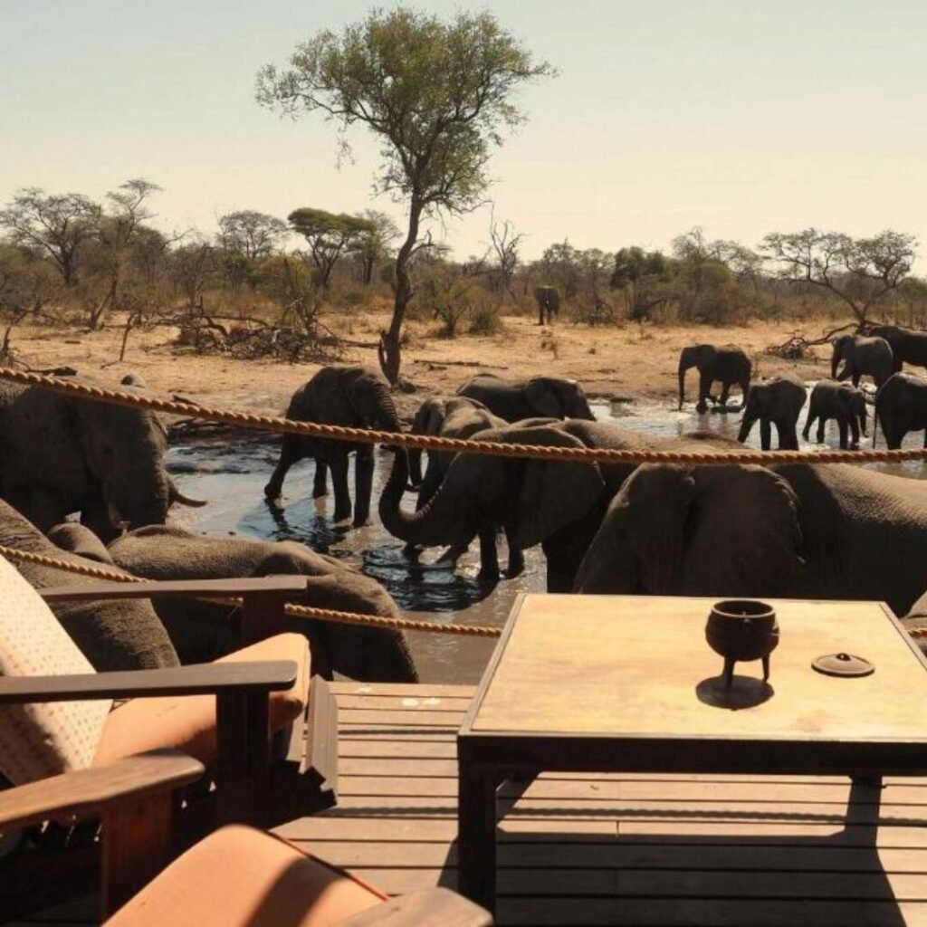 Top Africa Destination  South Okavango - Omogolo Hideaways