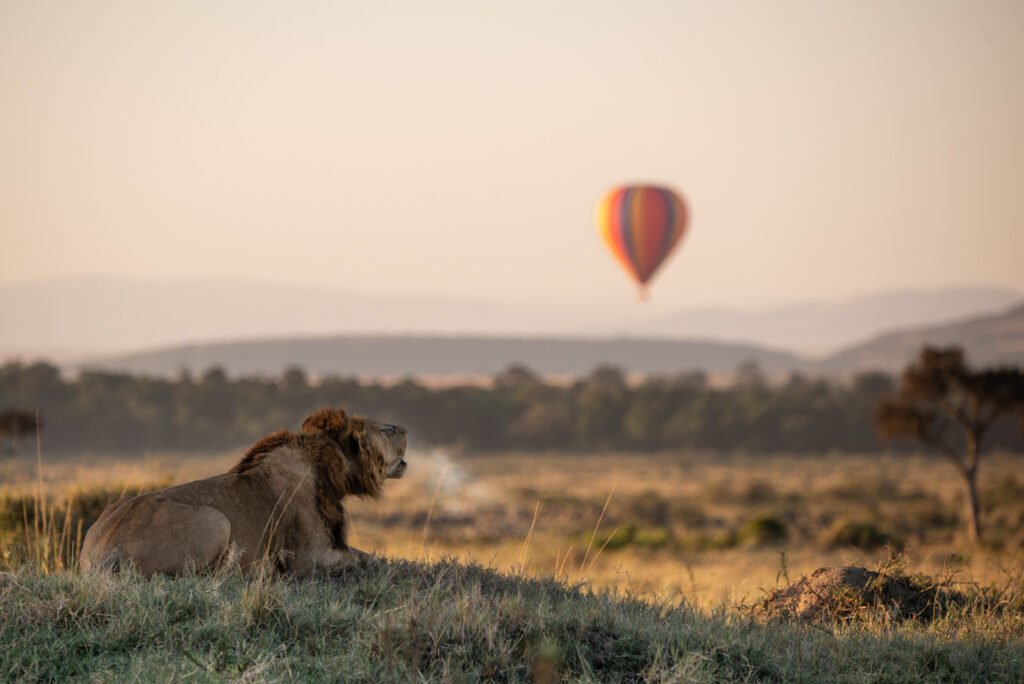 luxury lodges in Kenya