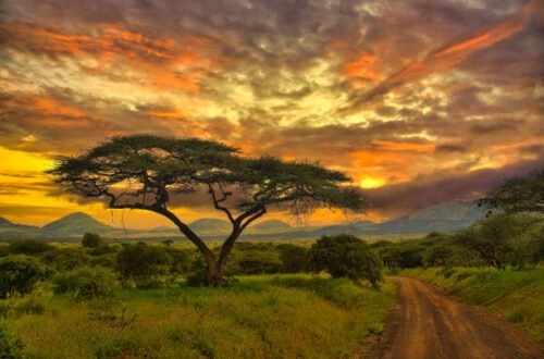luxury lodges in Kenya