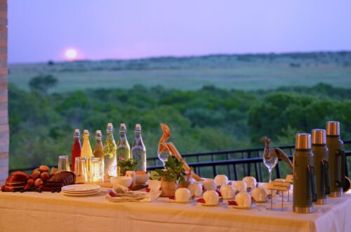 Zebra Valley Mara Camp