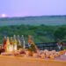 Zebra Valley Mara Camp