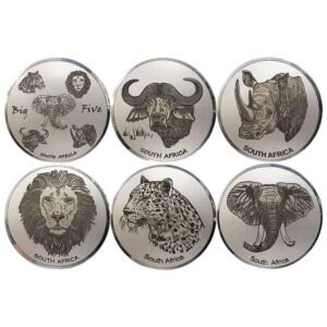 Big 5 Animals Gift Set