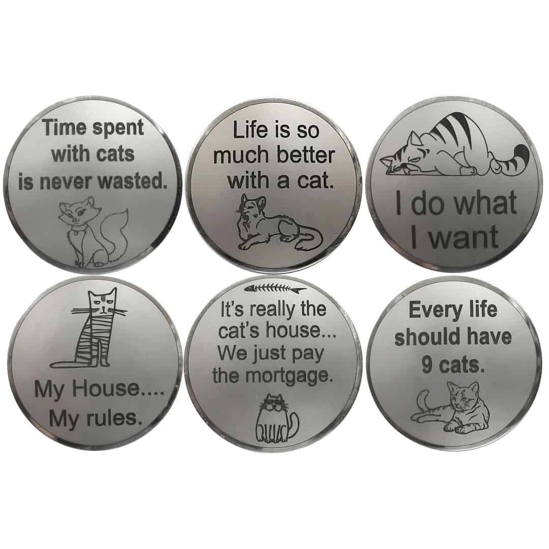 Cats fridge magnet Set