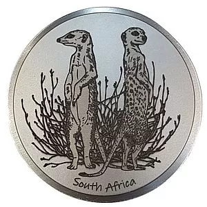Engraved Meerkat