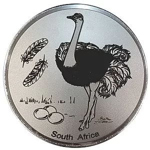 Engraved Ostrich
