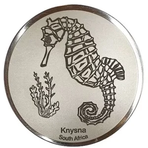 Engraved Seahorse (Knysna)