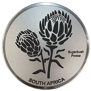 Engraved Sugarbush Protea