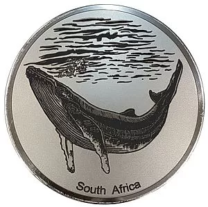 Engraved Whale