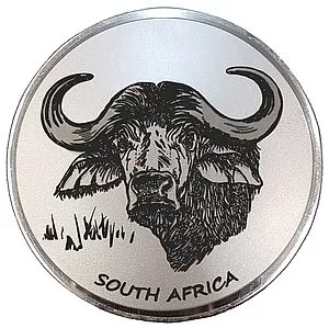 Engraved Buffalo (RM)