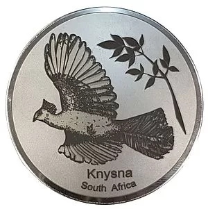 Engraved Loerie (Knysna)