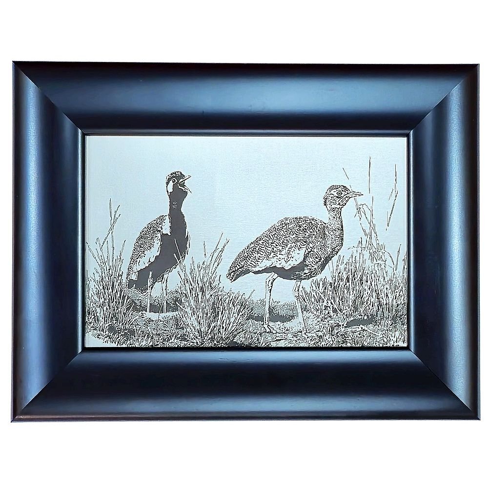 Johan Hoekstra Engraved Black Korhaan