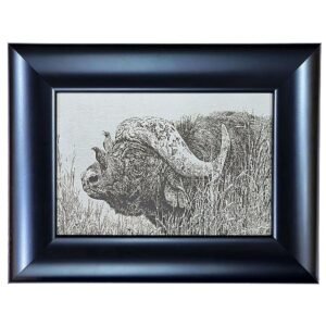 Johan Hoekstra Engraved Buffalo