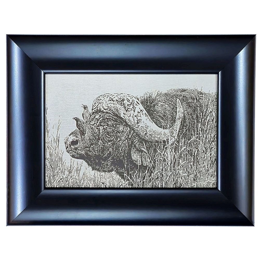 Johan Hoekstra Engraved Buffalo