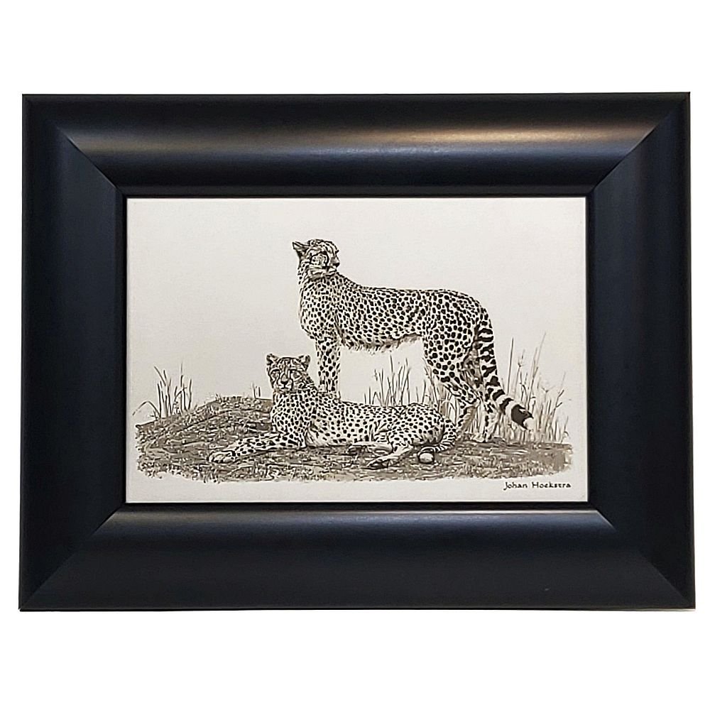 Johan Hoekstra Engraved Cheetahs 2