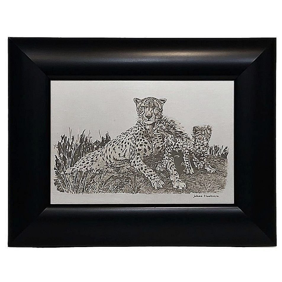 Johan Hoekstra Engraved Cheetahs 3