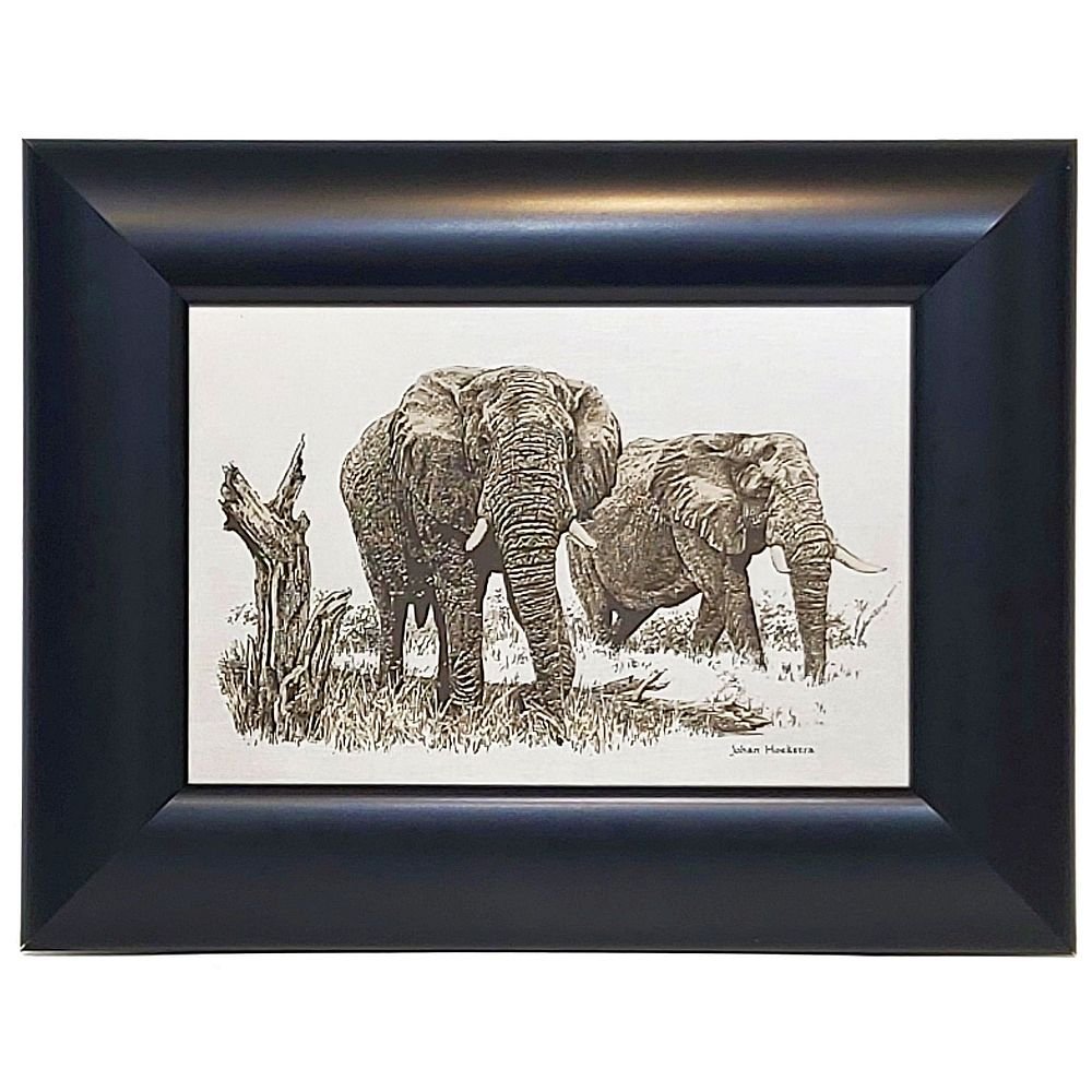 Johan Hoekstra Engraved Elephants