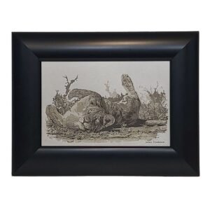 Johan Hoekstra Engraved Lioness