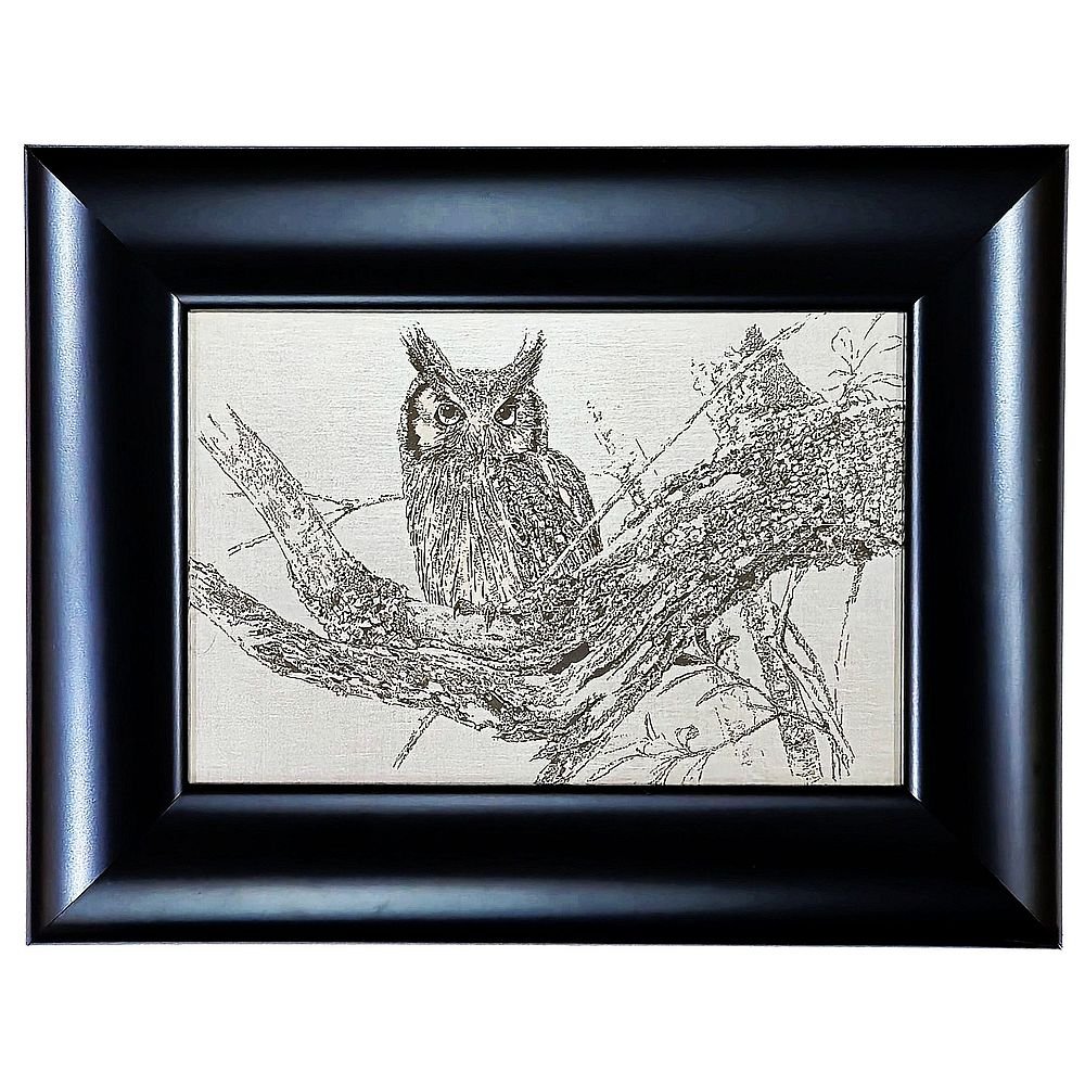 Johan Hoekstra Engraved Scoops Owl