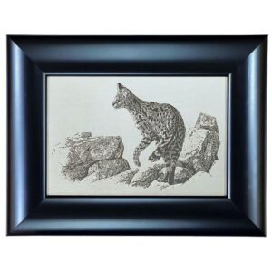 Johan Hoekstra Engraved Serval on Rocks