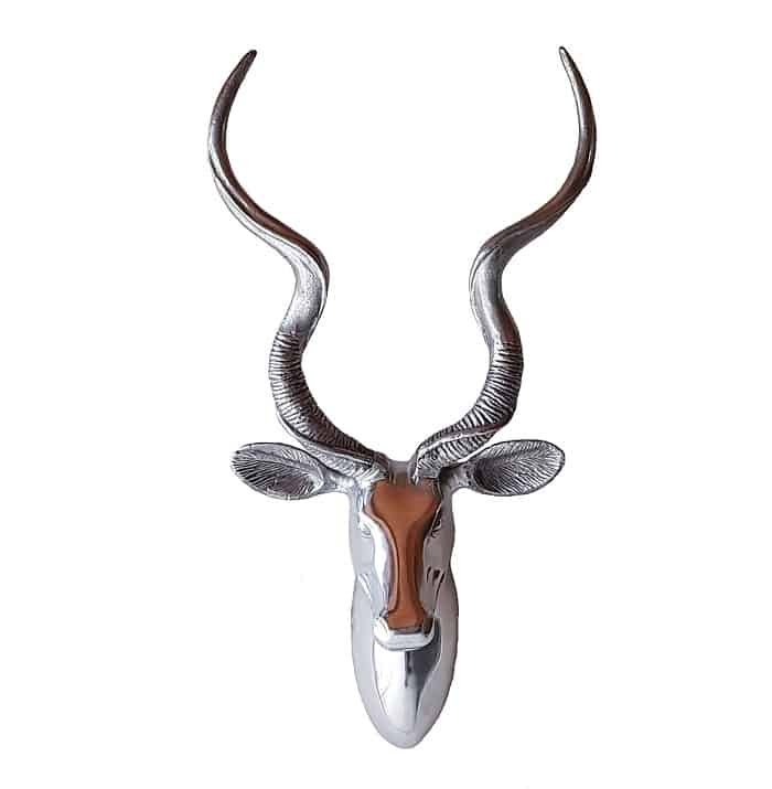 Kudu Head - Smooth finish - Image 2