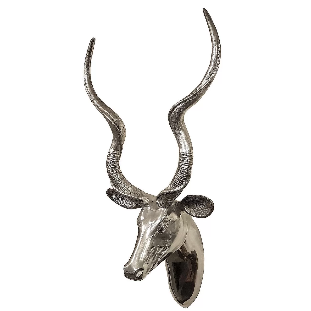 Kudu Head - Smooth finish