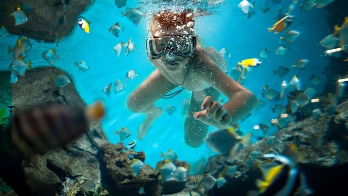 Experiences Nala Africa Collection