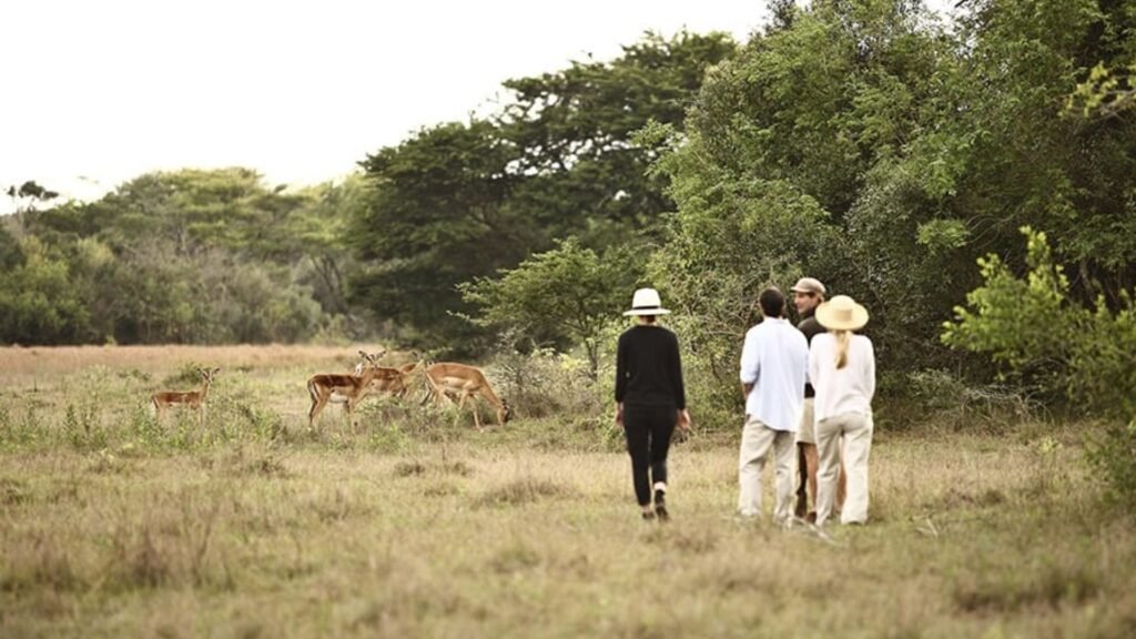 Family KwaZulu-Natal & Mauritius