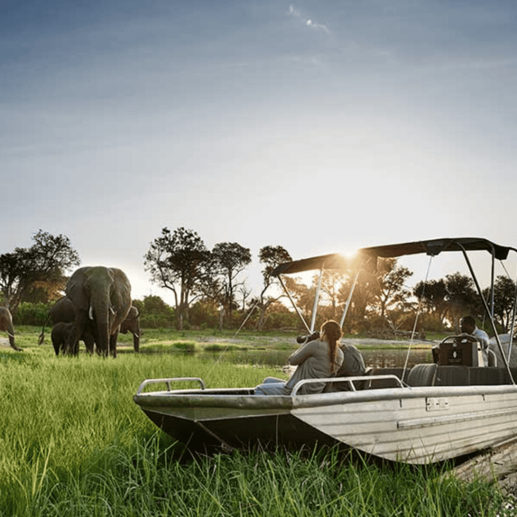 Nala Africa Collection