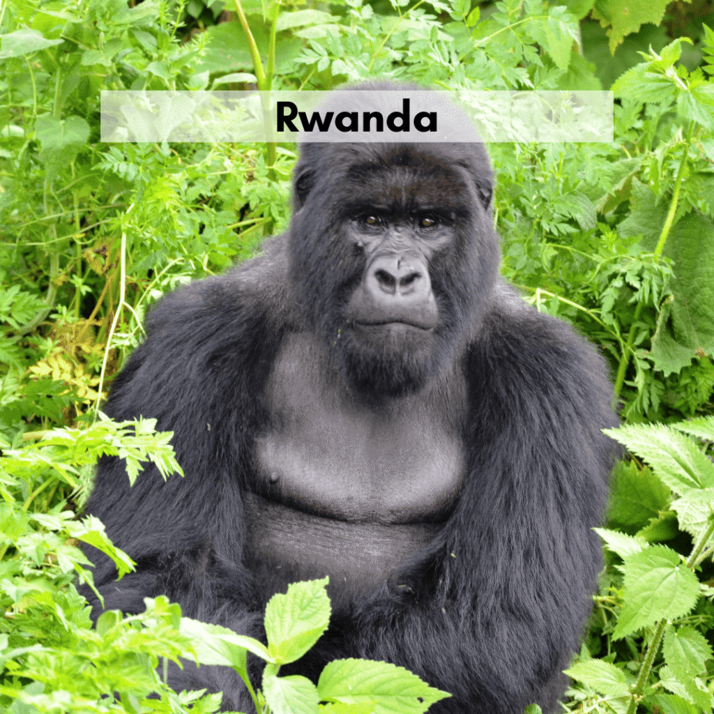 Rwanda