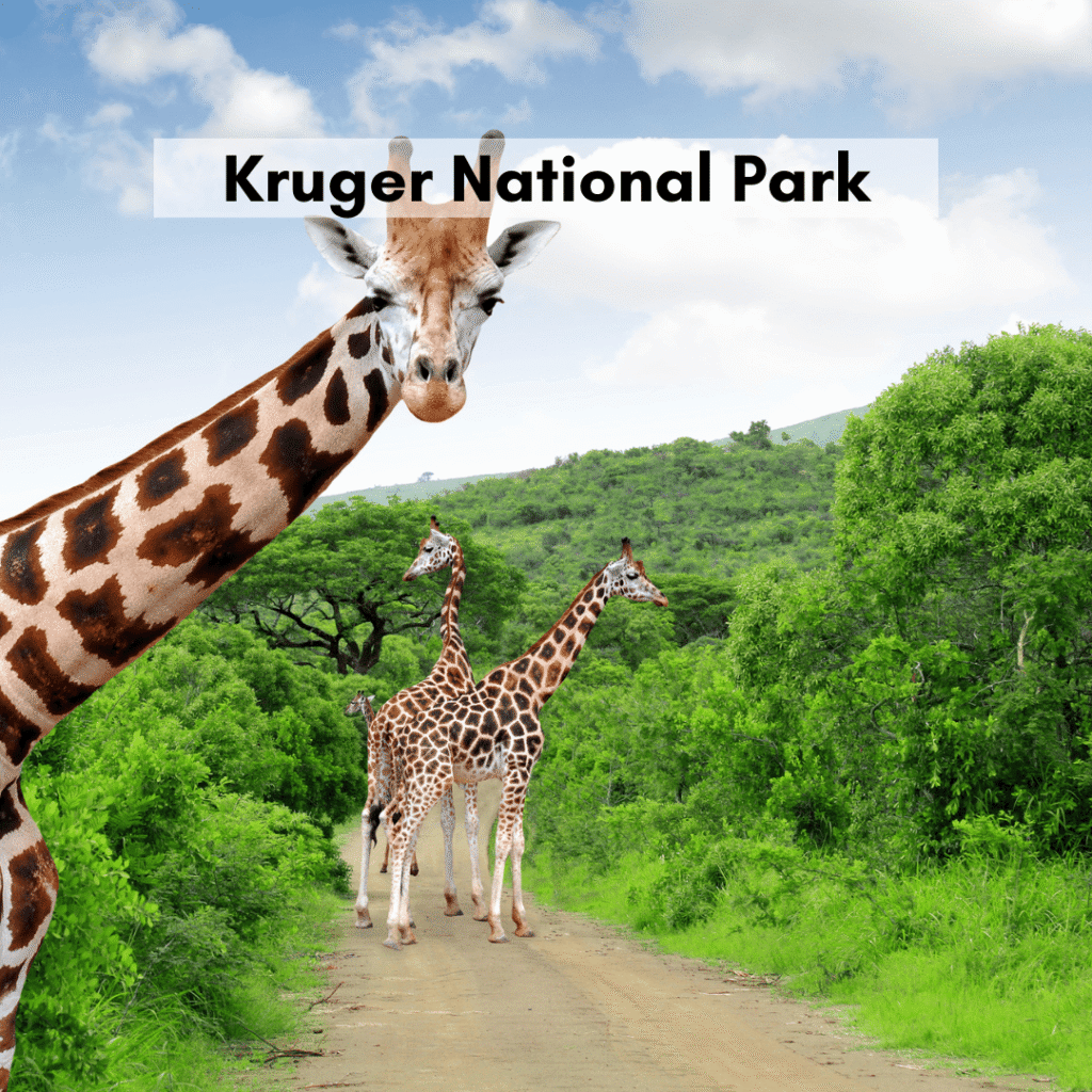 Kruger National Park