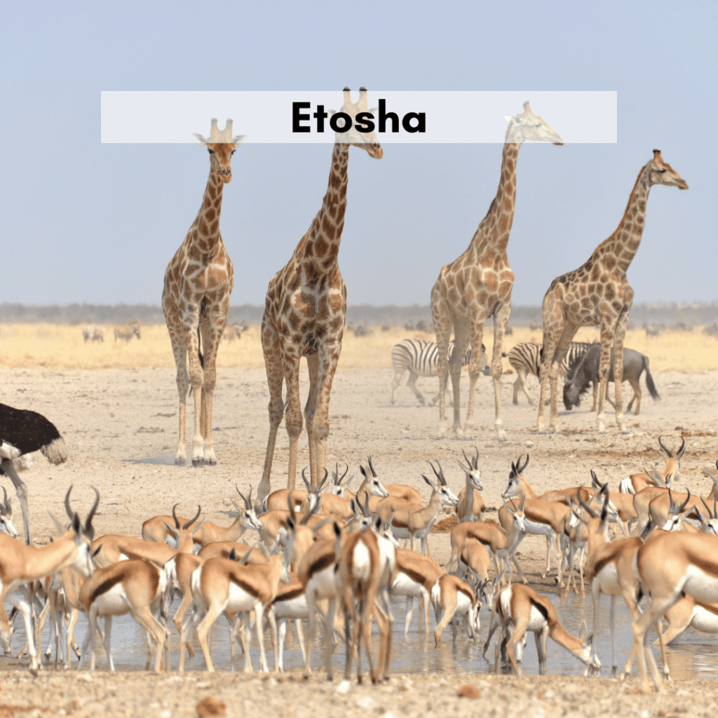 Etosha