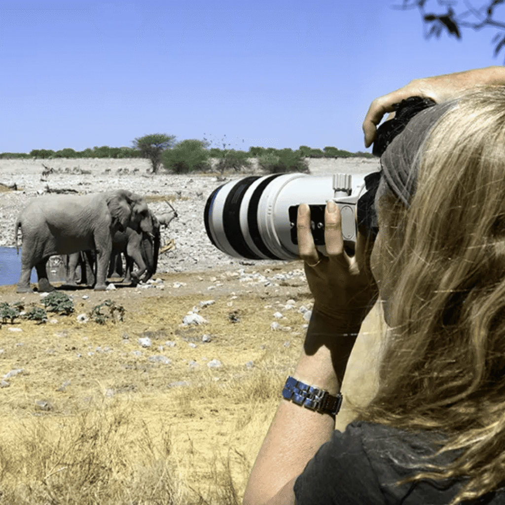 Nala Africa Collections Photographic safaris